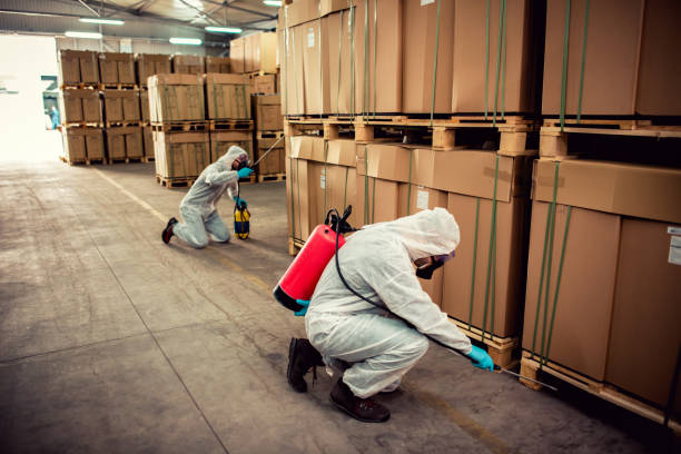 Trusted South Taft, CA Pest Control Experts