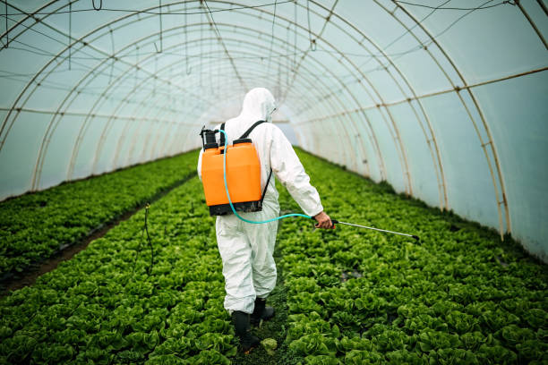 Best Affordable Pest Control Services  in South Taft, CA