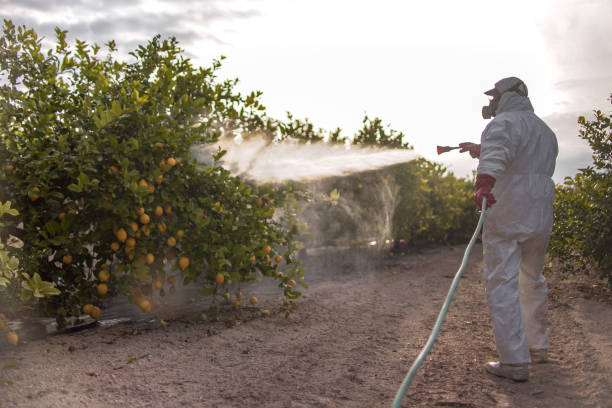 Best Emergency Pest Control  in South Taft, CA