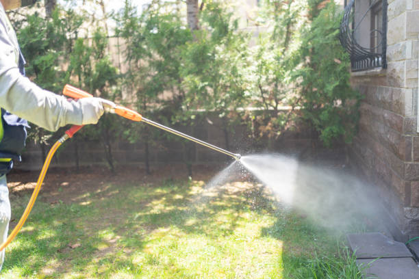 Best Pest Control Near Me in South Taft, CA