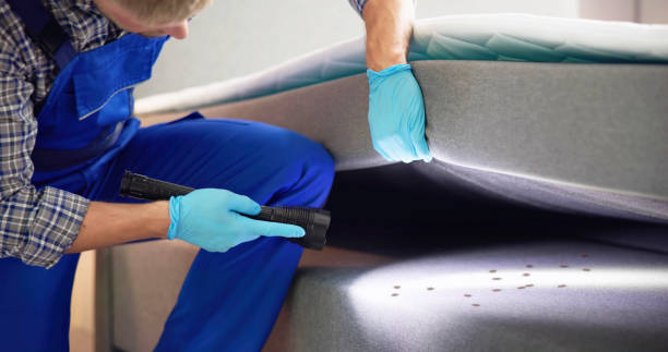Best Mosquito Control Services  in South Taft, CA