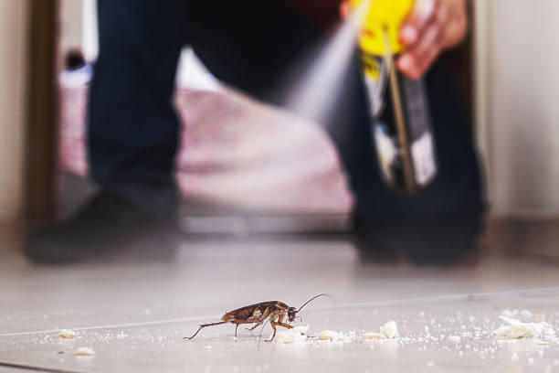  South Taft, CA Pest Control Pros