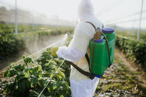 Best Pest Control for Businesses  in South Taft, CA